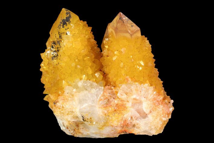 Sunshine Cactus Quartz Crystal - South Africa #93686